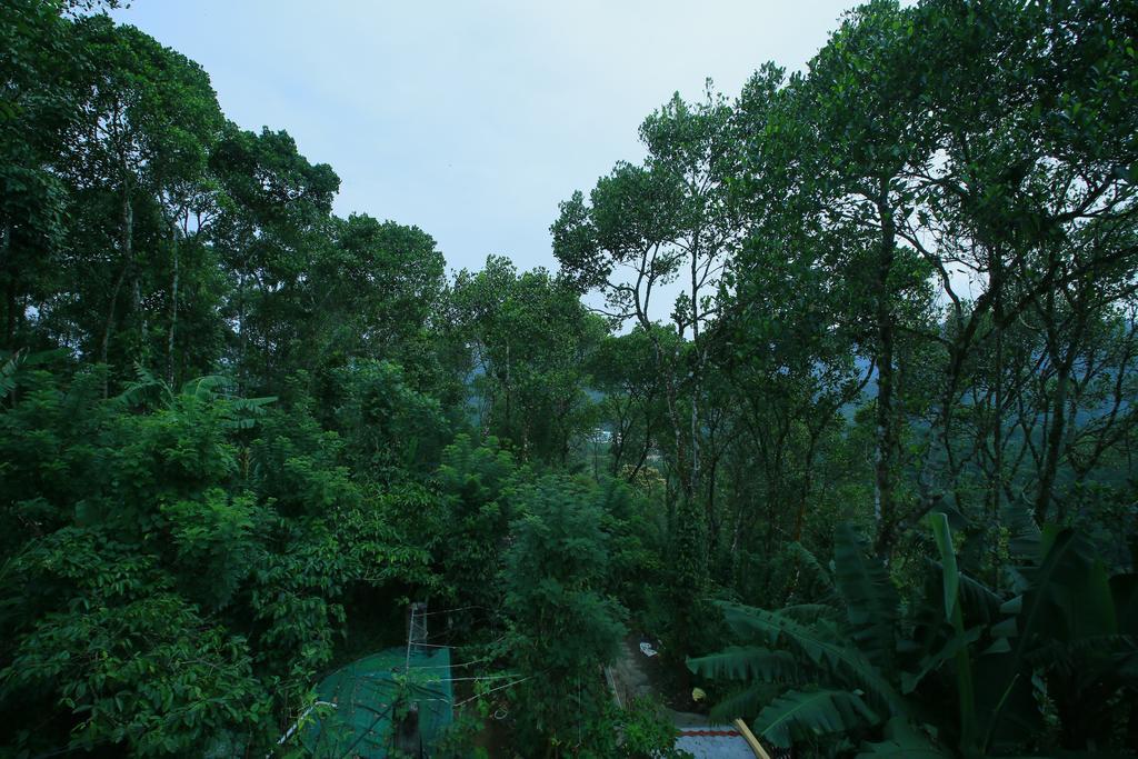 Mount Spring Valley Homestay Thekkady Eksteriør billede