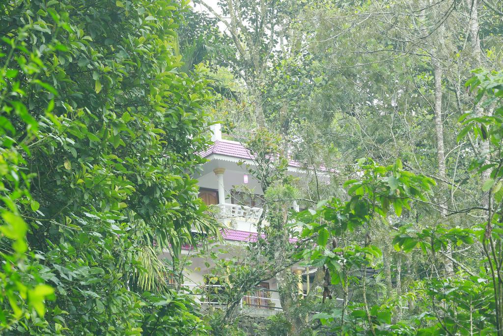 Mount Spring Valley Homestay Thekkady Eksteriør billede