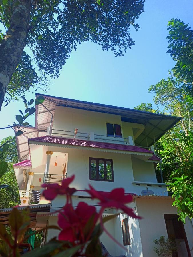 Mount Spring Valley Homestay Thekkady Eksteriør billede